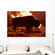 Steam Rolling Off Solitary Bison Wall Mural