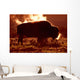 Steam Rolling Off Solitary Bison Wall Mural