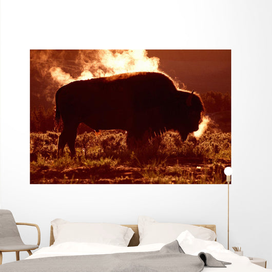 Steam Rolling Off Solitary Bison Wall Mural