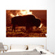Steam Rolling Off Solitary Bison Wall Mural