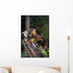 Marten On Mossy Tree Stump Wall Mural