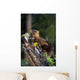 Marten On Mossy Tree Stump Wall Mural