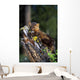 Marten On Mossy Tree Stump Wall Mural