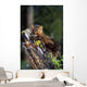 Marten On Mossy Tree Stump Wall Mural