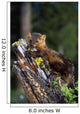 Marten On Mossy Tree Stump Wall Mural