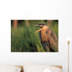 Fledgling Great Blue Heron Wall Mural