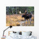 Bull Moose In Stream Wall Mural
