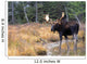 Bull Moose In Stream Wall Mural