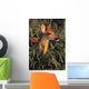 Young Deer Laying In Grass Wall Mural