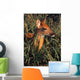 Young Deer Laying In Grass Wall Mural