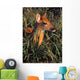 Young Deer Laying In Grass Wall Mural