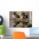 Pair Of Wild Birds Wall Mural