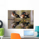 Pair Of Wild Birds Wall Mural