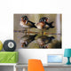 Pair Of Wild Birds Wall Mural