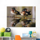 Pair Of Wild Birds Wall Mural
