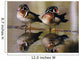 Pair Of Wild Birds Wall Mural