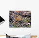American Woodcock Bird Wall Mural