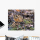 American Woodcock Bird Wall Mural