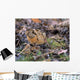 American Woodcock Bird Wall Mural