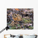 American Woodcock Bird Wall Mural