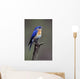 Eastern Bluebird Wall Mural