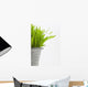Green Grass In A Pot Wall Mural