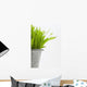 Green Grass In A Pot Wall Mural