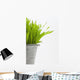 Green Grass In A Pot Wall Mural