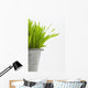 Green Grass In A Pot Wall Mural