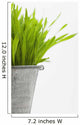 Green Grass In A Pot Wall Mural