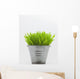 Green Grass In Metal Planter Against White Background Wall Mural