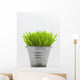 Green Grass In Metal Planter Against White Background Wall Mural