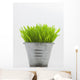 Green Grass In Metal Planter Against White Background Wall Mural
