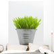Green Grass In Metal Planter Against White Background Wall Mural