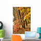 Autumn Park Wall Mural