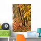 Autumn Park Wall Mural