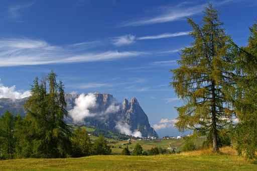 Herbst Auf Der Seiser Wall Decal
