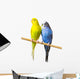 Budgerigar Perch Wall Decal