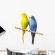 Budgerigar Perch Wall Decal