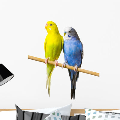 Budgerigar Perch Wall Decal shown on a wall