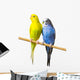 Budgerigar Perch Wall Decal