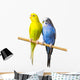 Budgerigar Perch Wall Decal