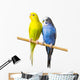 Budgerigar Perch Wall Decal