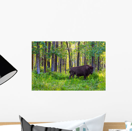 Single Bison Wall Mural