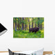 Single Bison Wall Mural