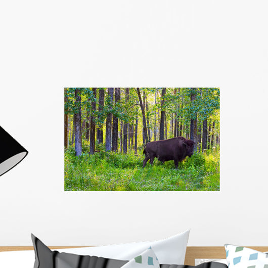 Single Bison Wall Mural