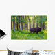 Single Bison Wall Mural