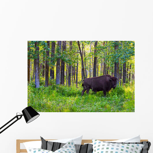 Single Bison Wall Mural