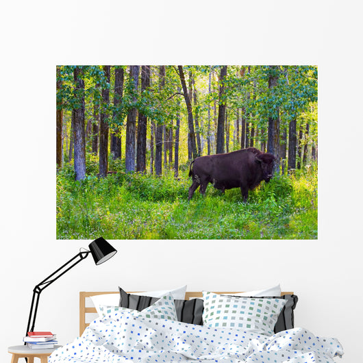 Single Bison Wall Mural