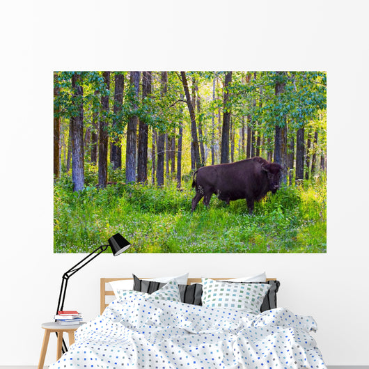 Single Bison Wall Mural